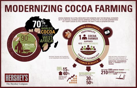  The Great Cacao Uprising; An Unexpected Rebellion Against the Olmec Cocoa Monopoly and its Profound Impact on Mesoamerican Social Structures.